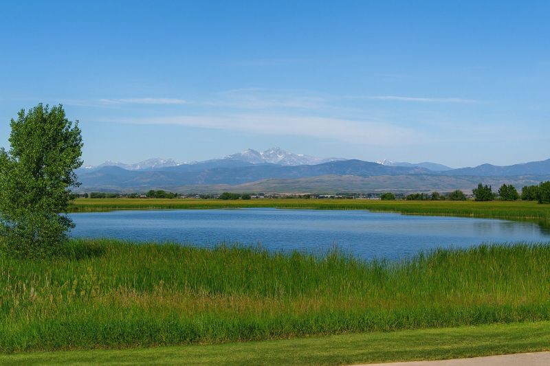 Best Shower Installation pros in Timnath, CO